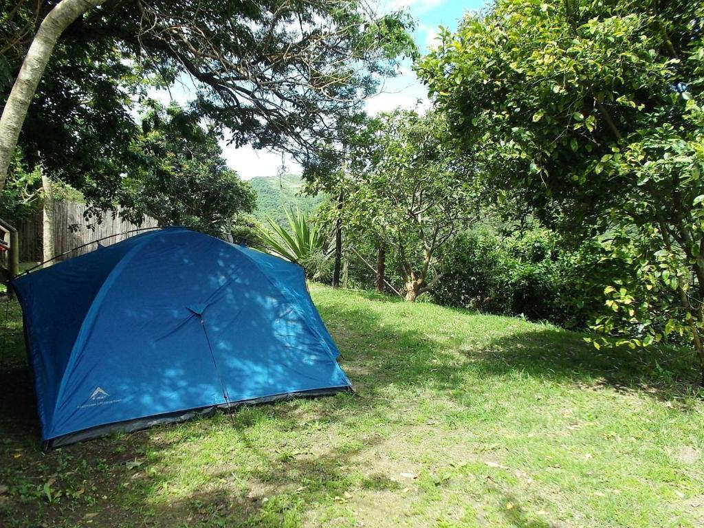 Amapondo Backpacker Lodge Port Saint Johnʼs Dış mekan fotoğraf